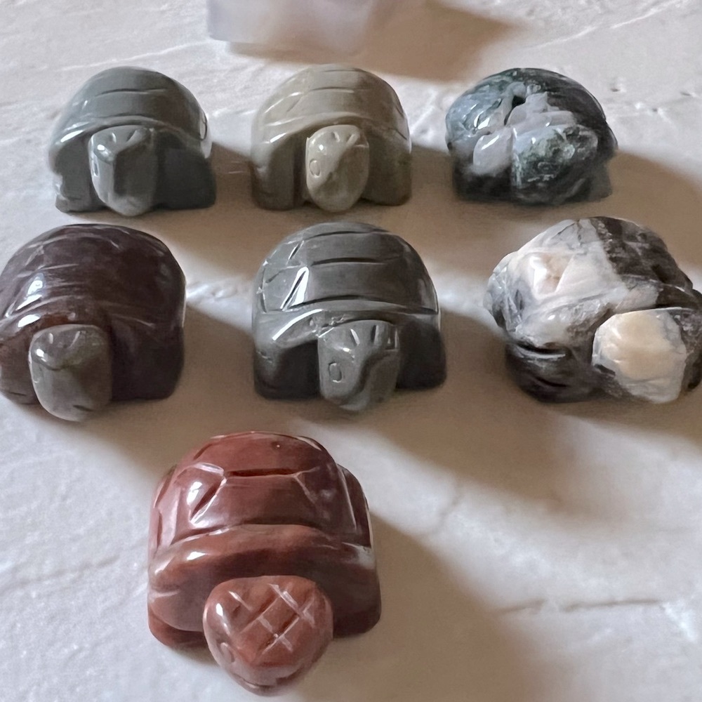 Turtle Carving - Picture 2 of 16